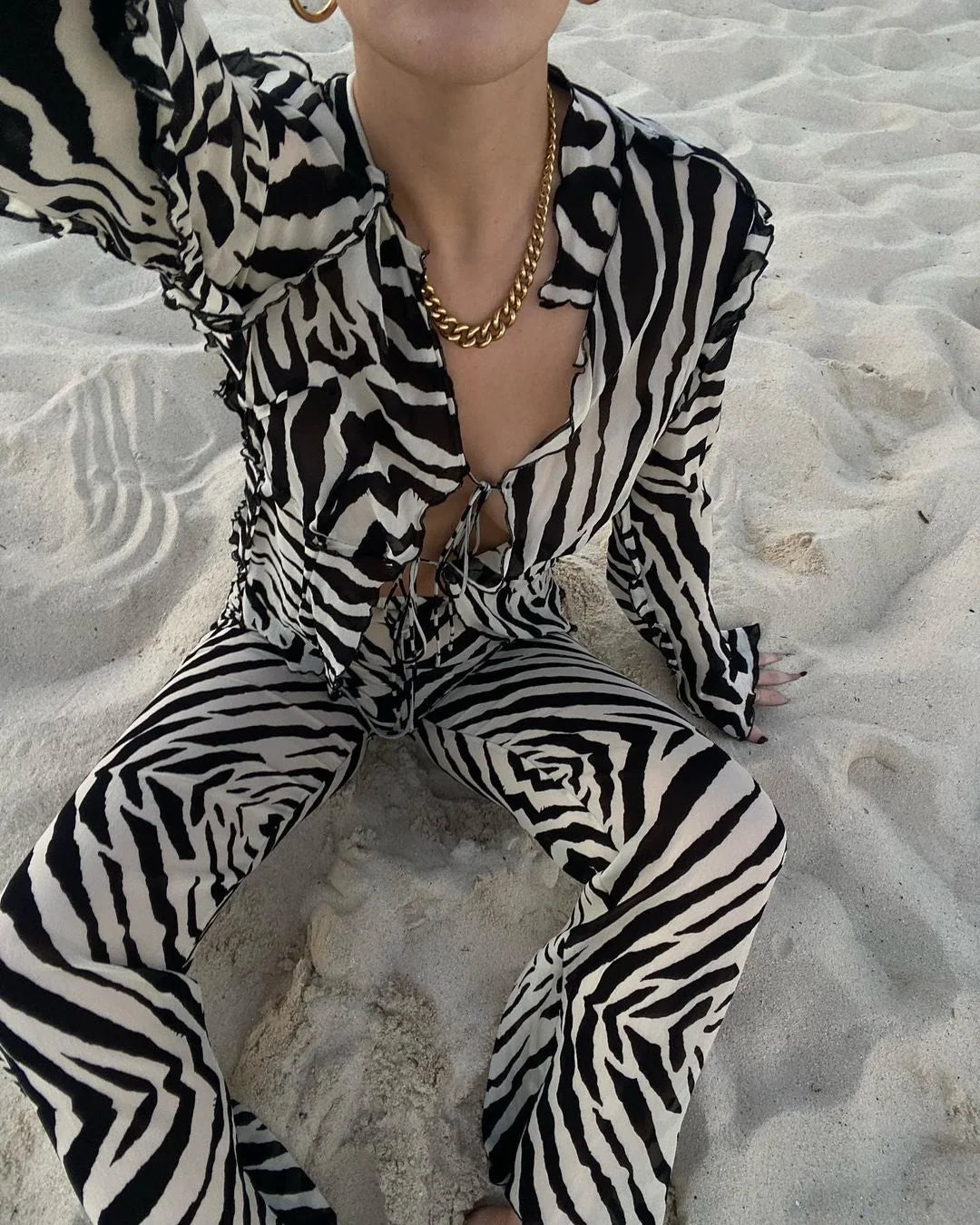 Bold & Sheer: Animal Print Mesh 2-Piece Set